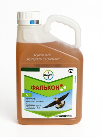 Фалькон
