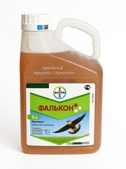 Фалькон