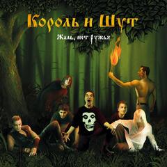 Виниловая пластинка Король и Шут — Жаль, нет ружья (2 LP) (Цветной винил «Волосокрад»)