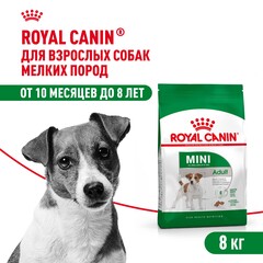 Корм для собак