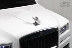 Rolls-Royce K111PX с дистанционным управлением