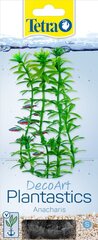 Tetra Элодея (Anacharis) S 15 см растение аквариумное искусственное, зеленое (ёлочка)