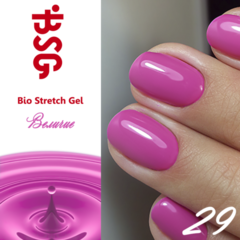 BSG №29 Величие BSG №29 Величие