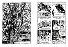 Собаки