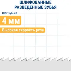 Пилки для лобзика по дереву, ДСП ПРАКТИКА тип T144DF 100 х 75 мм, грубый рез, BIM (2шт.) (034-625)