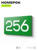 Номер на дверь 256, табличка на дверь для офиса, квартиры, кабинета, аудитории, склада, зеленая 120х70 мм, Айдентика Технолоджи