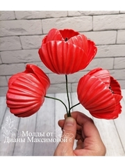 Молд пластиковый+вайнер силиконовый 