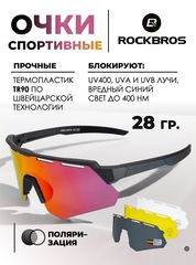 Очки спортивные Rockbros 14210006004