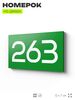 Номер на дверь 263, табличка на дверь для офиса, квартиры, кабинета, аудитории, склада, зеленая 120х70 мм, Айдентика Технолоджи