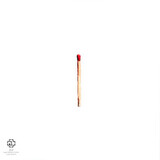 RAMMSTEIN: Rammstein (Виниловая пластинка)