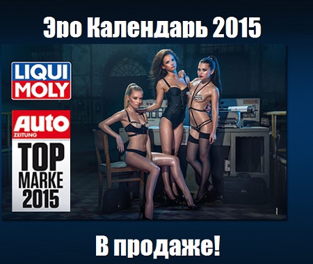 Эротический календарь 2015 Liqui Moly