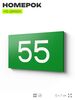 Табличка с номером 55 на дверь квартиры, для офиса, кабинета, аудитории, склада, зеленая 120х70 мм, Айдентика Технолоджи