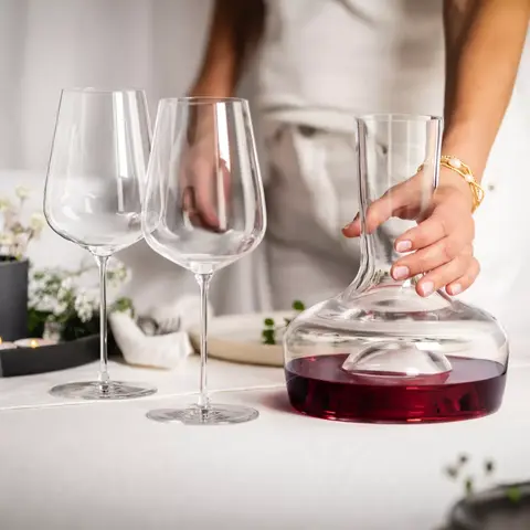 Декантер для вина Decanters No Drop 750 мл EISCH арт. 25430842