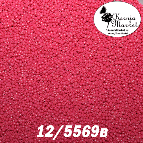 Бисер 12/5569в