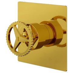 Remer Chrono CH30QDO Смеситель для душа, цвет: золото фото