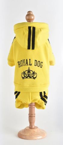 Royal Dog спортивный костюм желтый S