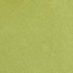 Стул Leo светло-зелёный