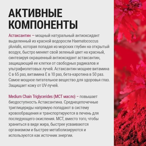Природный антиоксидант Astaxanthin Forte 330 mg