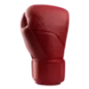 Перчатки Hayabusa E1 Leather Red