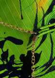 Платье ETRO