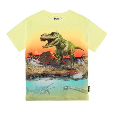 Футболка Molo Riley Volcano Dino