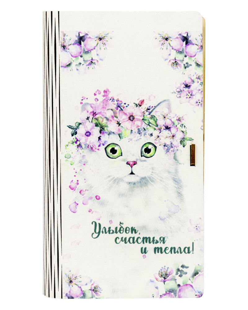 Шкатулка для денег с Котенком