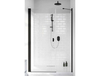 Radaway Nes Black DWS 10028130-54-01L Распашная душевая дверь