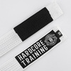 Пояс Hardcore Training Premium White
