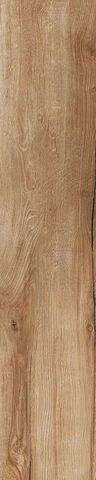 Rondine Daring Nut 24x120