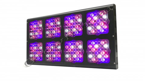 EasyGrow Panel 600W Evo-2  Plus