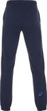 Брюки Asics Big Logo Sweat Pant мужские
