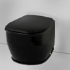 ArtCeram Azuley AZV001 03 00 АКЦИЯ Унитаз подвесной, цвет: чёрный