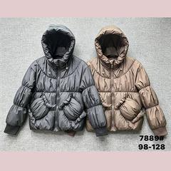 Куртка демисезон д (3-8) 260822-SN-7889