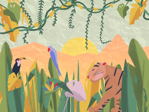 Коллекция JUNGLE