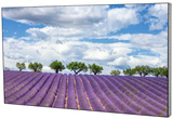 Панель LCD EliteBoard PK555FDLN
