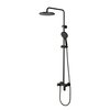 Aquatek AQ2960MB AQ2960MB АЛЬФА душевая система (смеситель для душа с встроенным изливом) 250 мм, матовый черный