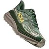 FERN / CEMENT