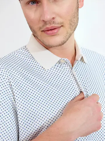 Рубашка поло мужская Abacus Hayden