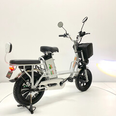 Электробайк GreenCamel Транк Монстр (R16FAT 800W 48V15Ah) гидравл. тормоз