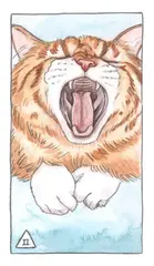 Cat Tarot. Таро Котиков