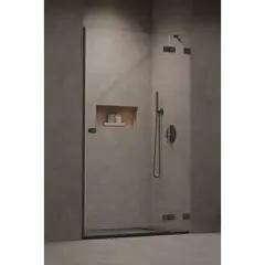 Radaway 10099120-92-01R Essenza Pro Brushed GunMetal DWJ 120 Right фото