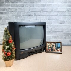 ТВ АНТЕННА КОМНАТНАЯ ЦИФРОВАЯ АКТИВНАЯ НАПРАВЛЕННАЯ ТРИАДА-3306/antenna.ru