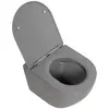 BelBagno Colorato BB062SC-GR Сиденье дюропластовое с металлическим креплением, с механизмом Soft Close, цвет: серый