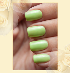 El Corazon 423/ 60 active Bio-gel/ Jelly