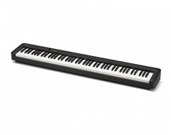 Casio CDP-S110