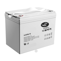 Аккумулятор для штабелёров IWS/PWS/WS 12 В/75 Ач гелевый (Gel battery)