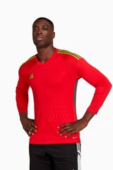 Вратарская кофта adidas Tiro 23 Competition GK