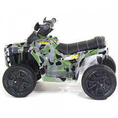Квадроцикл XH116