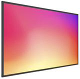 Панель Lumien LB5535SDG2