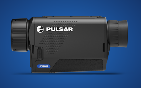 Pulsar Axion